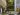 Biophilic design trends 2025