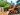 Sustainable Building Materials 2025