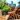 Sustainable Building Materials 2025