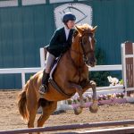 Horse Riding School in Davis, CA