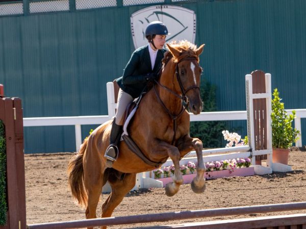 Horse Riding School in Davis, CA