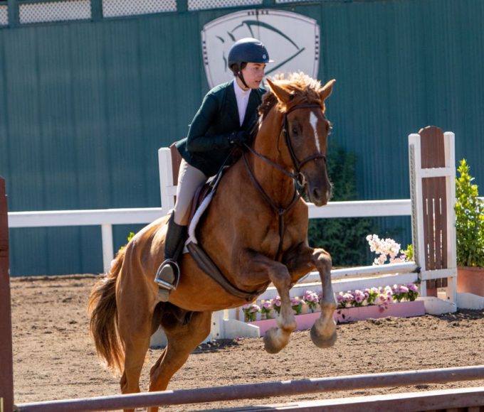 Horse Riding School in Davis, CA