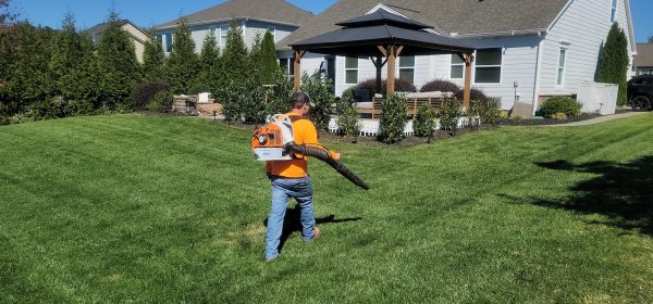Lawn Care Service in Sacramento, CA