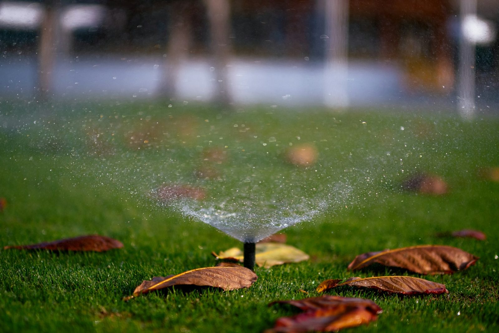 Lawn Sprinkler System Contractor in Kansas City, KS