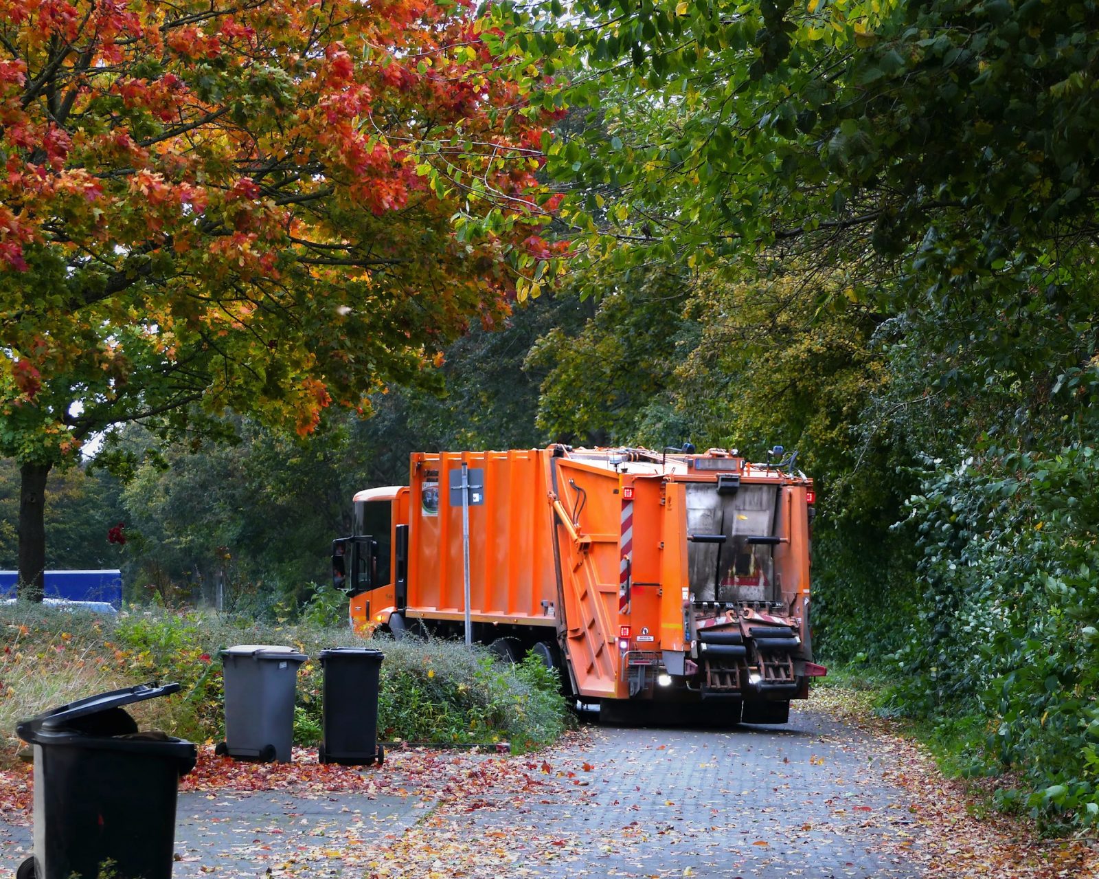 Waste Management Service in Jamaica NY