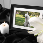 Pet Funeral Service Yuma, AZ